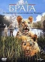 Два брата (2004)