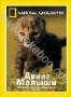 НГО: Дикие малыши (2003)