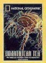 НГО: Похитители тел (1999)