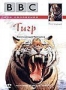 BBC: Тигр (1999)