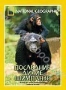 НГО: Последние дикие шимпанзе (2003)