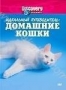 Discovery: Идеальный путеводитель: Домашние кошки (1999)