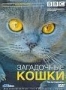 BBC: Загадочные кошки (2002)