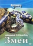 Discovery. Идеальный путеводитель. Змеи (1999)