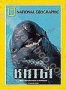 НГО: Киты (2004)