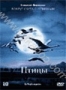 Птицы (2001)