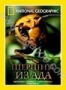 НГО: Шершни из ада (2002)